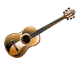 Guitar/Ukulele